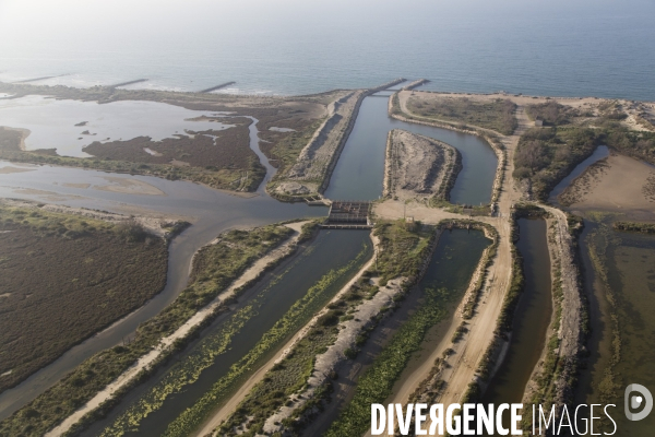 Aigues-Mortes et Port-Camargue