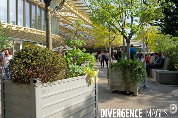 Illustration Avril 2018.Jardiniéres anti intrusion aux Halles