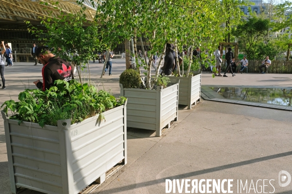 Illustration Avril 2018.Jardiniéres anti intrusion aux Halles