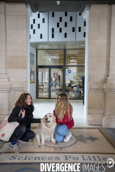 Sciences Po Lille