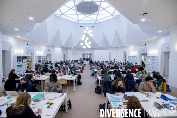 Sciences Po Lille