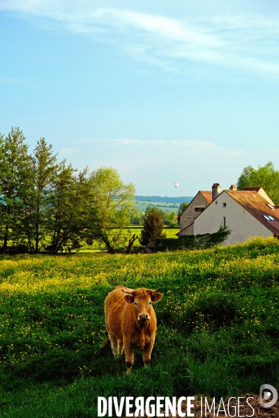 En Bourgogne