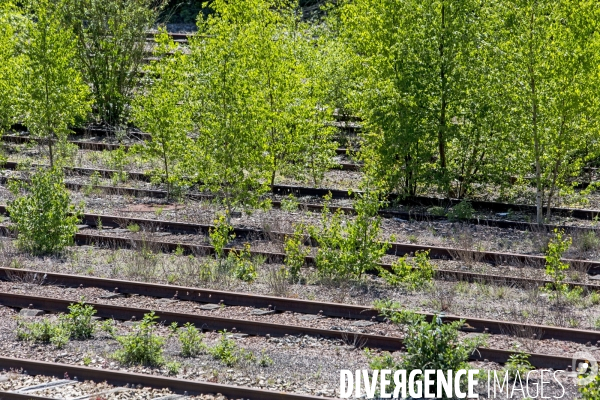 Ligne ferroviaire Abbeville-Le Tréport