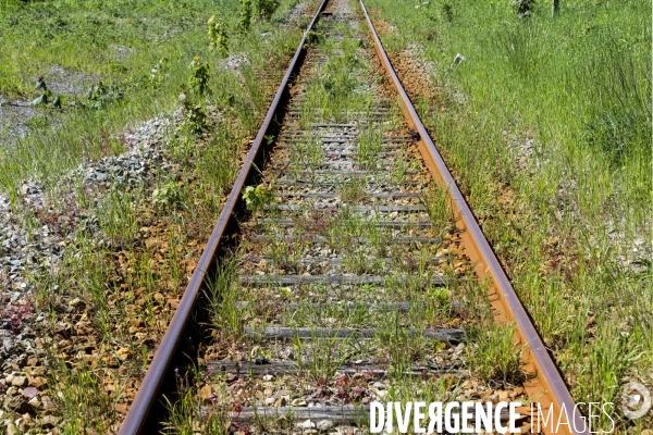 Ligne ferroviaire Abbeville-Le Tréport