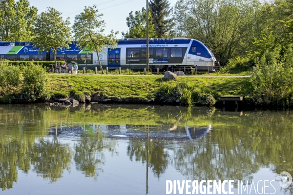 Ligne ferroviaire Abbeville-Le Tréport