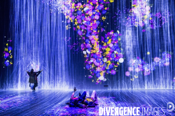 Exposition:  TeamLab, Au delà des limites  , à la Grande Halle de La Vilette.