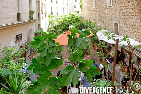 Le jardin partagé du quartier populaire saint Blaise.