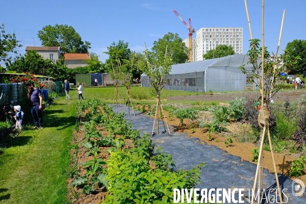 La ferme urbaine de Saint Denis