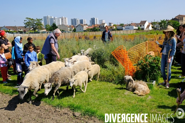 La ferme urbaine de Saint Denis