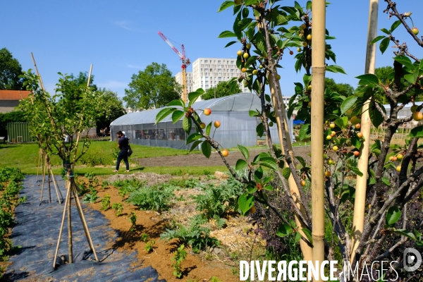 La ferme urbaine de Saint Denis