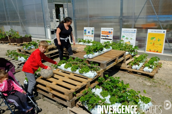 La ferme urbaine de Saint Denis