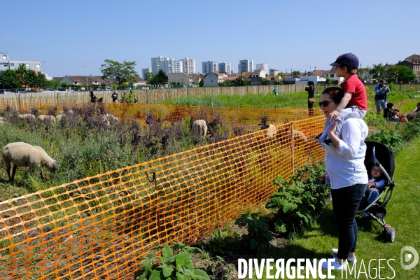 La ferme urbaine de Saint Denis