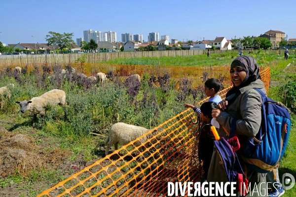 La ferme urbaine de Saint Denis