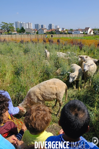 La ferme urbaine de Saint Denis