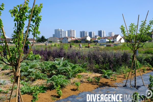 La ferme urbaine de Saint Denis