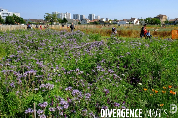 La ferme urbaine de Saint Denis