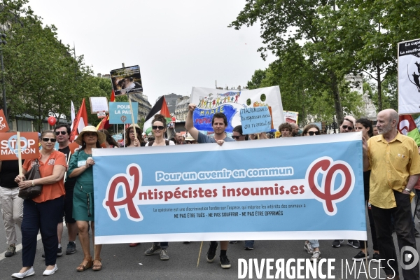 Manifestation La marée populaire anti Macron, le 26 mai à Paris.