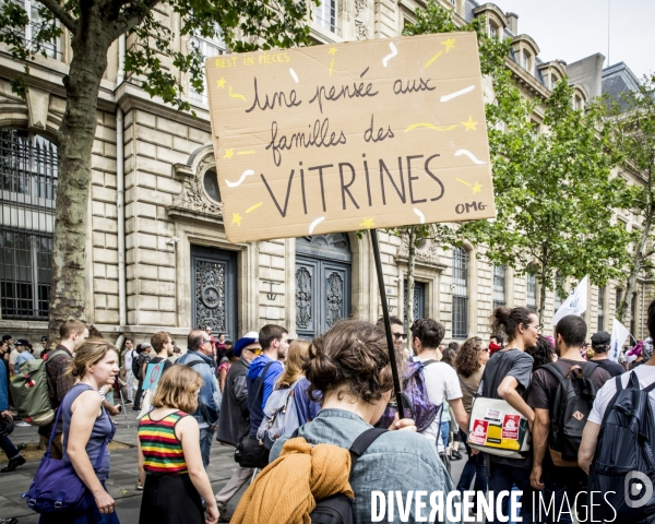 Manifestation  Maree Populaire , Paris.