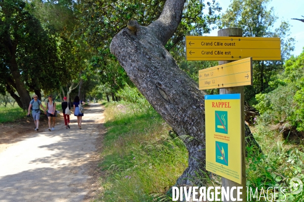 Sur l  île de Porquerolles