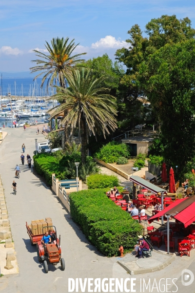 Sur l  île de Porquerolles