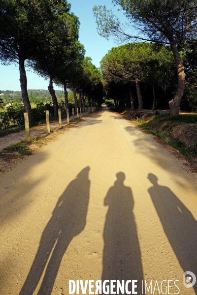 Sur l  île de Porquerolles