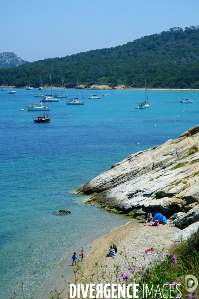 Sur l  île de Porquerolles