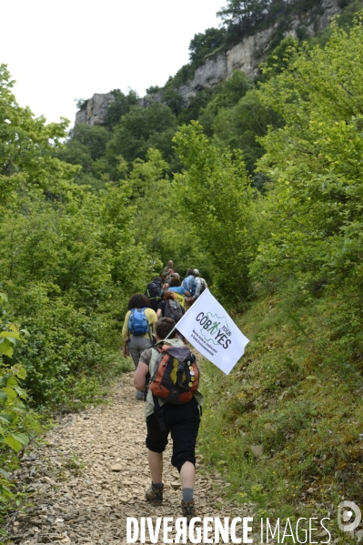 Tous Cobayes , marche antinucléaire Vérité et Justice pour la santé environnementale à la centrale du Bugey