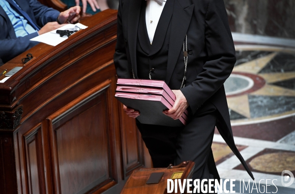 L assemblee nationale