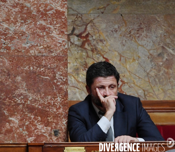 L assemblee nationale