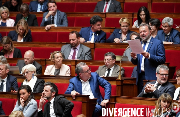 L assemblee nationale