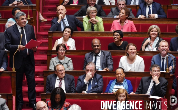L assemblee nationale