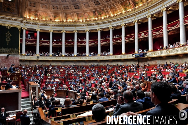 L assemblee nationale