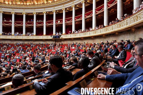 L assemblee nationale