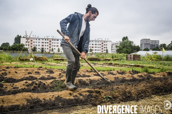 La Ferme Urbaine de Saint-Denis