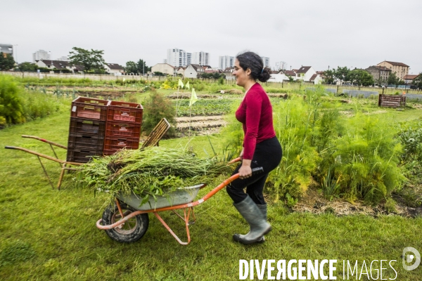 La Ferme Urbaine de Saint-Denis