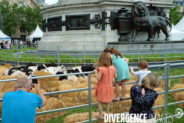 BiodiversiTerre, 2 éme édition place de la République