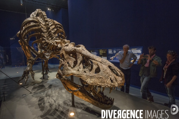 Un squelette de t.rex expose a paris