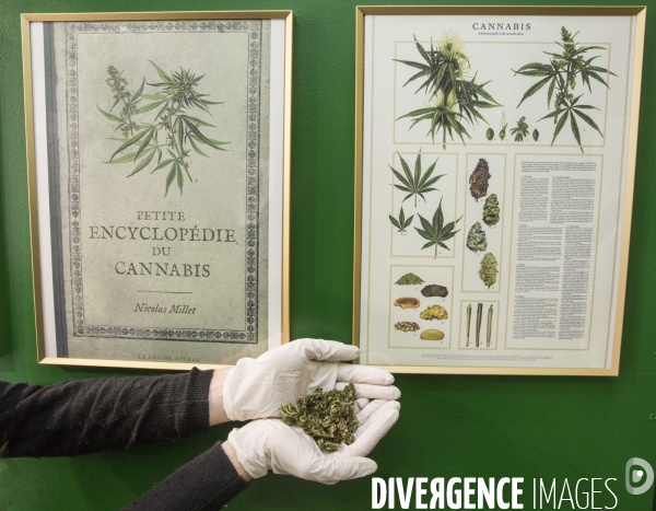 Deux boutiques vendent du cannabis sans thc