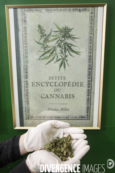 Deux boutiques vendent du cannabis sans thc
