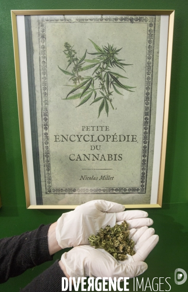 Deux boutiques vendent du cannabis sans thc