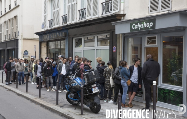 Deux boutiques vendent du cannabis sans thc