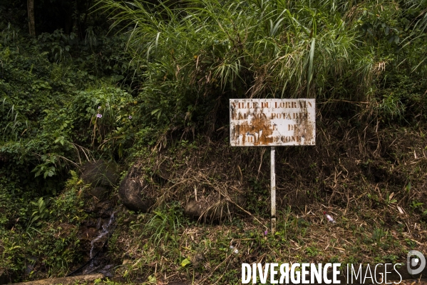 Adaptation de la Martinique à la Chlordecone.