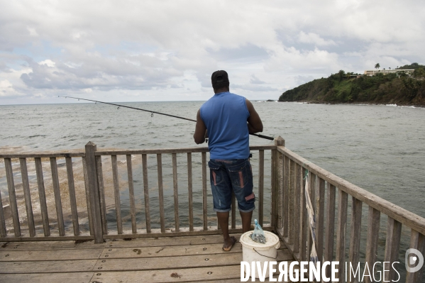 Adaptation de la Martinique à la Chlordecone.