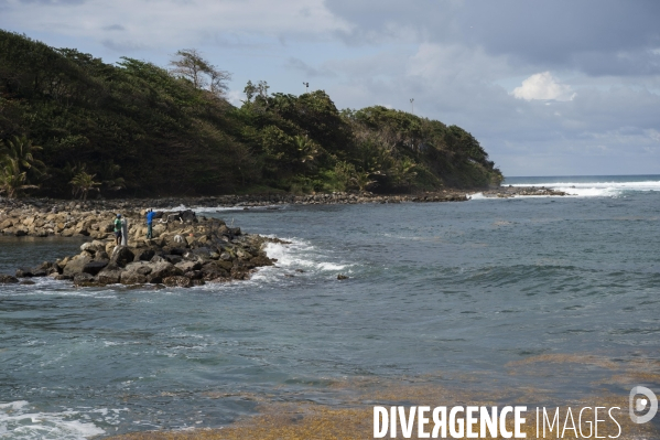 Adaptation de la Martinique à la Chlordecone.