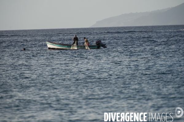 Adaptation de la Martinique à la Chlordecone.