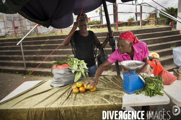 Adaptation de la Martinique à la Chlordecone.