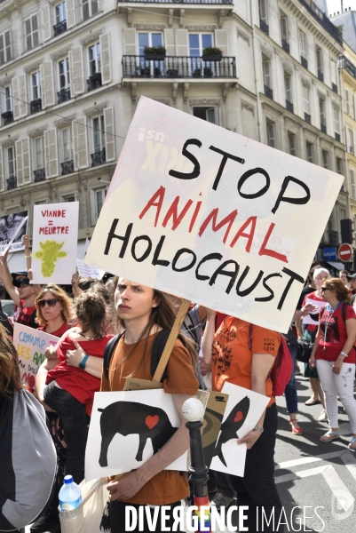 Marche pour la fermeture des abattoirs. Walk to the closure of slaughterhouses.