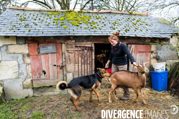 Bienvenue à la ferme !