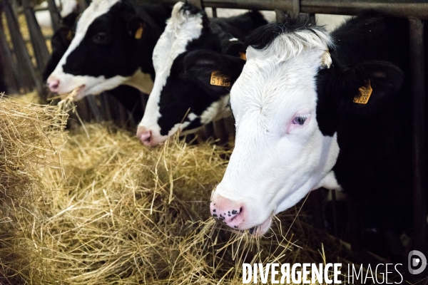 Bienvenue à la ferme !