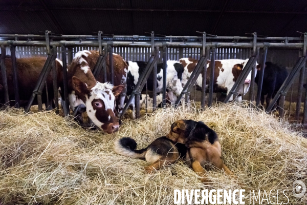 Bienvenue à la ferme !